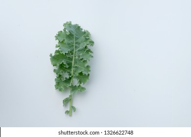 Baby Green Kale