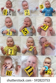 Baby Growth Process During The Year, From A Month To Year. 
Baby Boy Is Growing Up. 1 Year Old Baby Boy