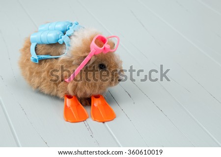 A baby guinea pig with scuba gear on a simple wooden background.