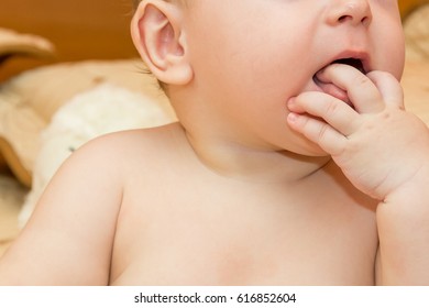 Baby With Hand In Mouth