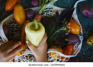 Baby Hand Taking Sweet Pepper From Eco String Bag. Summer Crop Vegetables - Colorful Tomatoes, Purple Potatoes, Carrots, Basil, Dill Under Trendy Hard Shadows. Ecological Concern