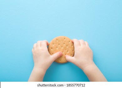 Baby Hands Holding Dry Cookie On Light Blue Table Background. Pastel Color. Sweet Snack. Closeup. Point Of View Shot.