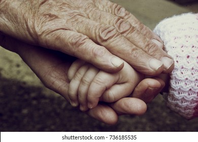 Baby Hands In Old Wrinkled Hands Of Grandmother