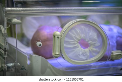 Baby Hospital Cabinet - Shutterstock ID 1151058701