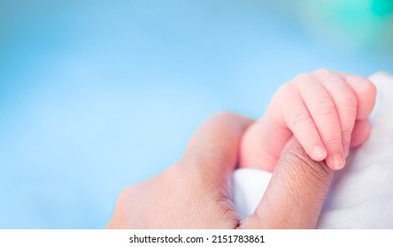 Baby Infant Finger Hand With Mother Loving Care.World Baby Day.Newborn Cute.Mom And Her Child.Premature Or Preterm Baby In Hospital.incubator Intensive Safe.foster Child.Orphans Infant.black People.