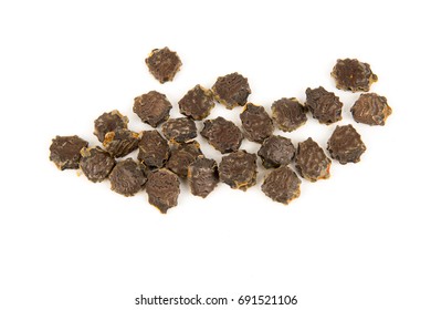 Baby Jackfruit Spiny Bitter Gourd