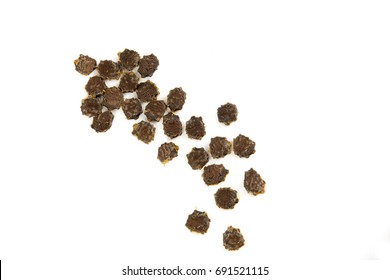 Baby Jackfruit Spiny Bitter Gourd