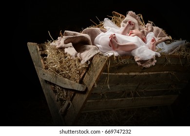 Baby Jesus On A Manger On Christmas Day