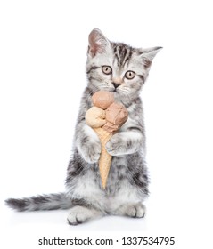 26,203 Cream cat Images, Stock Photos & Vectors | Shutterstock