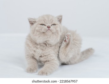 Baby Kitten Scratching Itself On A Bed At Home