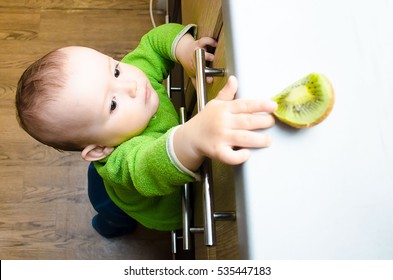 Baby Kiwi Sees On The Table And Trying To Reach Out But Can't