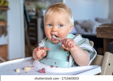 Baby Led Weaning. 8 Month Baby Joyfully Grabbing A Spoon And Eating Alone