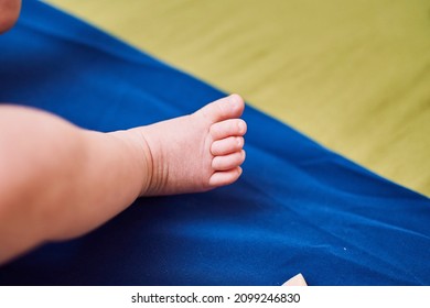 Baby Legs, Newborn Baby, Small Chubby Legs