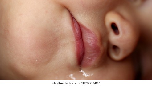 Baby Lips Macro Close-up Drooling Sleeping. Toddler Infant Face Detail Closeup Lips Drool.