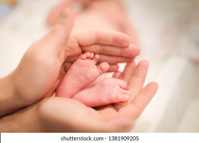 New Parent Imagenes Fotos De Stock Y Vectores Shutterstock