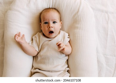 Baby Lying In A Baby Nest, Shocked And Worried, Looking At Camera.