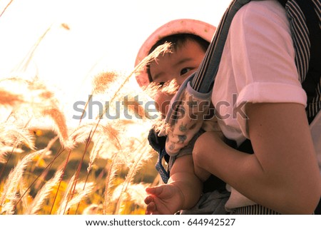 Similar – Tired women friends sleeping in a rear seat car