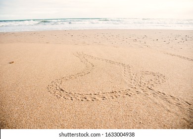 Baby Mother Turtle Footprint On The Beach Australia Queensland Bundaberg Beauty In Nature Protection