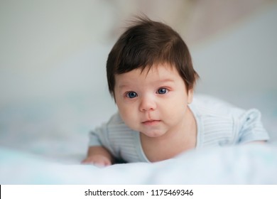 Newborn Baby Body Hair Images Stock Photos Vectors
