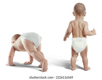 Baby, newborn in the diaper. isolated background. - Powered by Shutterstock