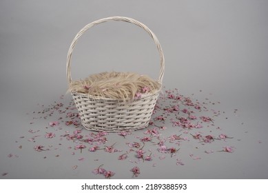 Baby Newborn Photoshoot Background Backdrop White Basket With Fluffy Furry Light Brown Blanket On Pink Cherry Blossoms On Grey Layer Easter Girl