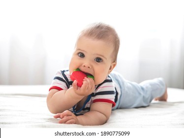 Baby Is Nibble A Rubber Toy Because The Child’s Teeth Are Being Cut