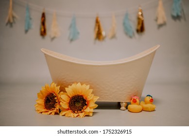 Baby Photography Background Images Stock Photos Vectors Shutterstock