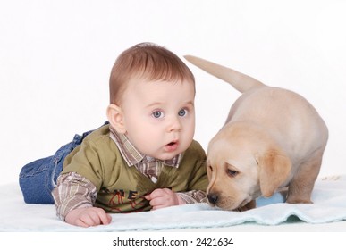 baby puppy images stock photos vectors shutterstock