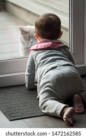 Baby In Pyjamas Crawls In Front Of A Patio Door While Looking Out At A British Shorthair In A Garden Outside A House In Edinburgh, Scotland, United Kingdom