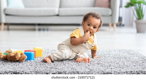 Baby Safety At Home. Adorable Little Black Boy Biting Wine Cork Found On Floor, Cute African American Infant Kid Having Risk Of Choking, Paying Interest To Dangerous Household Items, Panorama