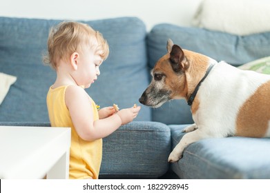 Baby Sharing Food With Dog
