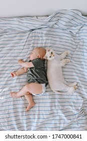 Baby Sleep With White Cat