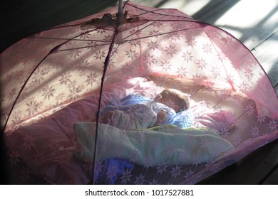 Baby Sleeping In Mosquito Net Under Morning Light