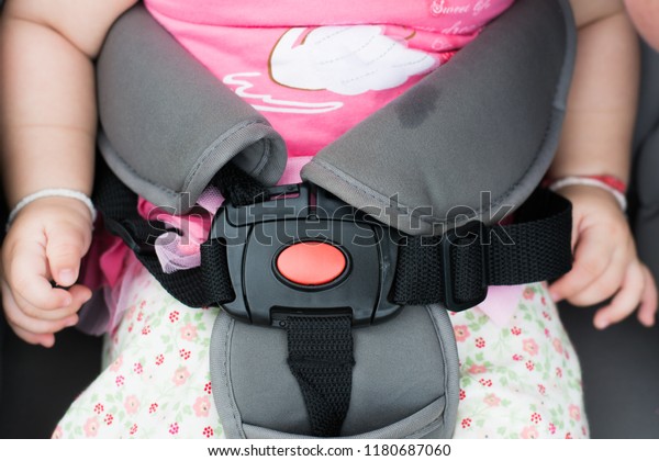seat belt stroller