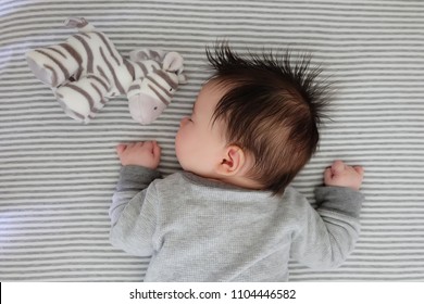 Baby Sleeping With Stuffed Animal.