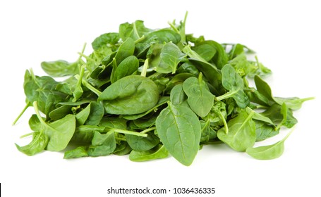 Baby Spinach Leaves