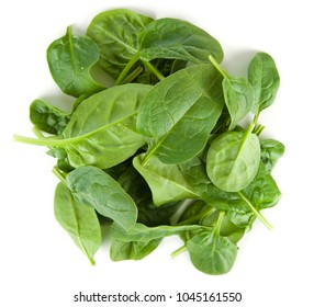 Baby Spinach Leaves