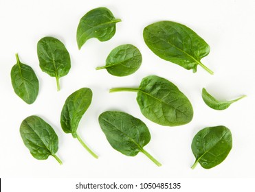 Baby Spinach Leaves