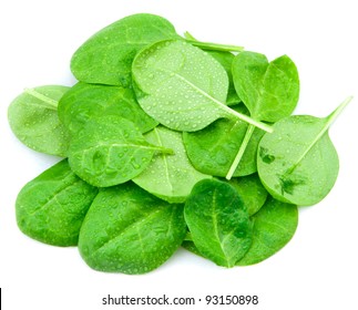 Baby Spinach Leaves