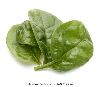 Baby Spinach Leaves Isolated On White Background Cutout