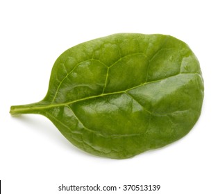 Baby Spinach Leaves Isolated On White Background Cutout