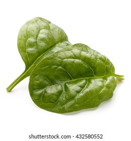 Baby Spinach Leaves Isolated On White Background Cutout