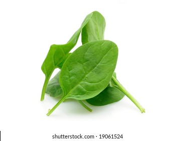 Baby Spinach Leaves In Isolated White Background