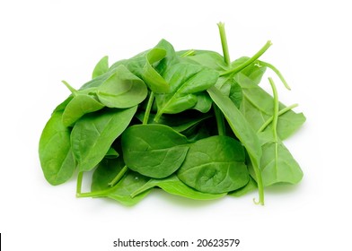 Baby Spinach Leaves In Isolated White Background