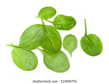 Baby Spinach Leaves On White Background