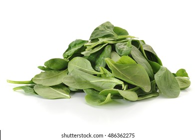 Baby Spinach Studio Isolated On White Background