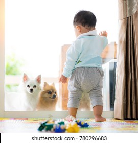 Baby Stand In Living Room And See A Little Dog Out Side A Door