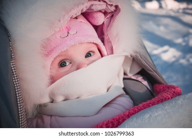 Baby In Stroller At Winter Walk.