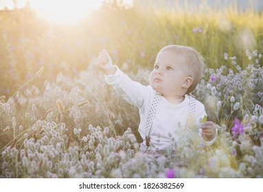 Baby In A Suit With Suspenders Sits In The Grass оn The Sunset