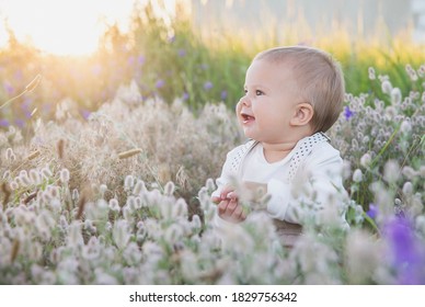 Baby In A Suit With Suspenders Sits In The Grass оn The Sunset